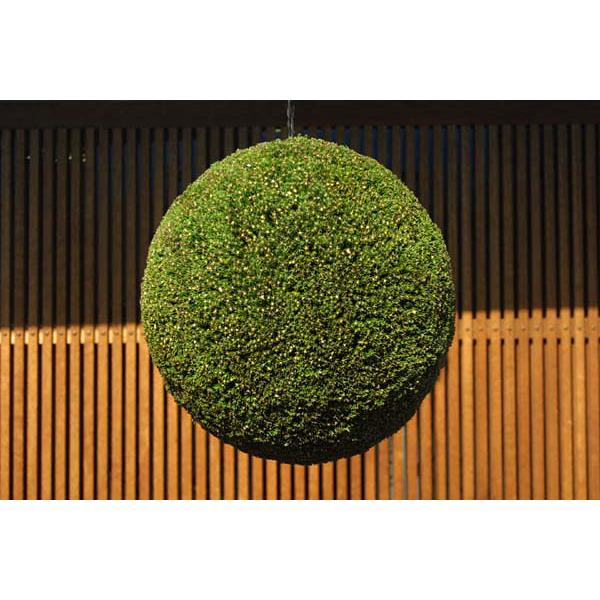 杉玉45ｃｍ 杉玉45cm 杉玉 - 杉玉の高林 オンラインストア
