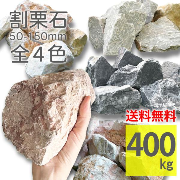 ex-ceracore_org0515gr-500