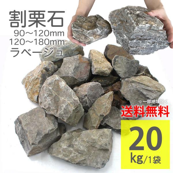 岩石男爵 リクエスト 2点 まとめ商品 my様 リクエスト 2点 まとめ商品