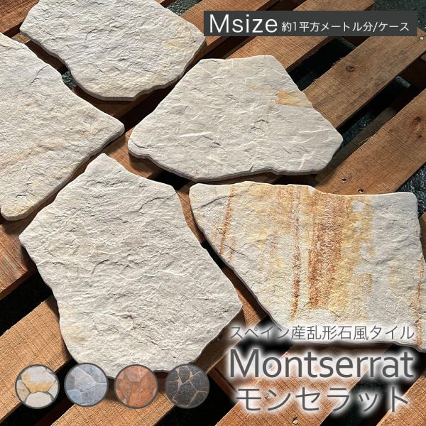 ex-ceracore_sastsml-ms-m