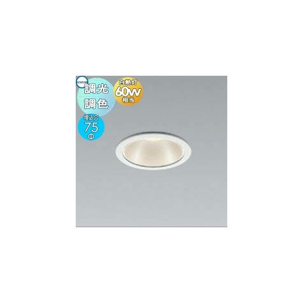 Ɩ  RCY~Ɩ KOIZUMI  _ECg AD1051W99 F EVpVo[{pE_[zCg