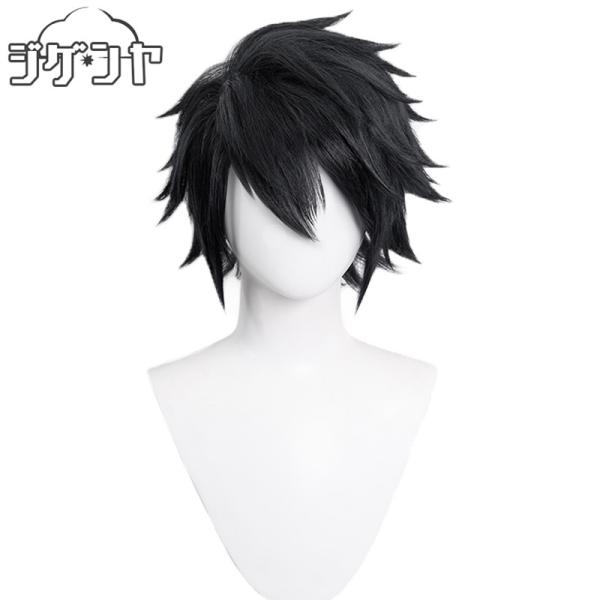 デスノート DEATH NOTE エル＝ローライト L Lawliet ウィッグ かつら
