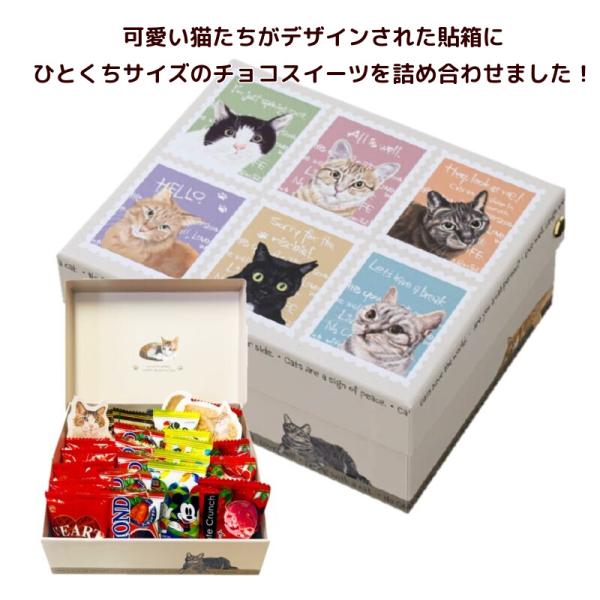 チョコレート スイーツ ギフト アニマルボックス ねこ