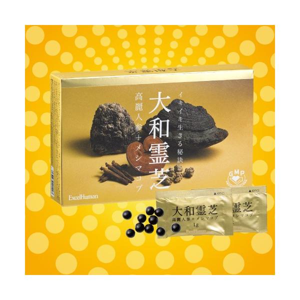 大和霊芝 エクセルヒューマン 二箱 【公式通販】