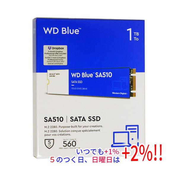 国内正規品 5年保証　WD Blue SA510 SATA SSD 1TB ⑥ WD Blue 【いつでも+1％！5のつく日と日曜日は+2%！】【爆買
