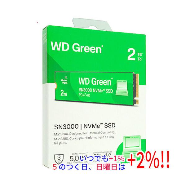 SANDISK WD Green SN3000 NVMe SSD WDS200T4G0E 2TB : エクセラー