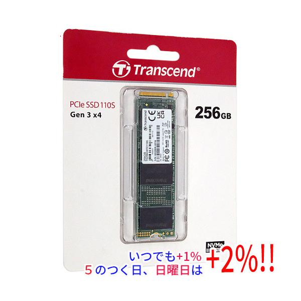 Transcend（トランセンド） Transcend PCIe SSD 110S TS256GMTE110S