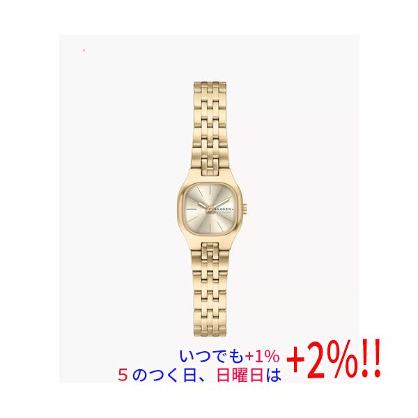 SKAGEN（スカーゲン） 腕時計 MELLEM MICRO SKW3177【いつでも+1％！5