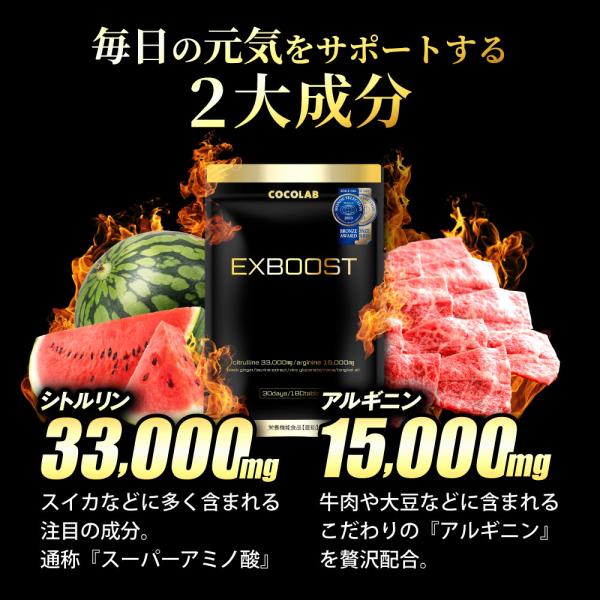 excitech_exboost-001_3_d_20250708120104