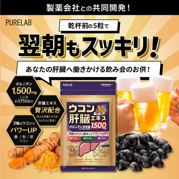 excitech_kanzou-001_2_d_20231219170426