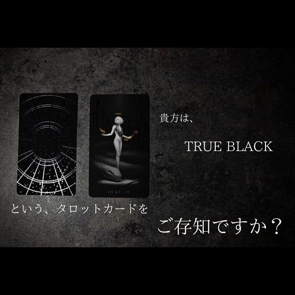 �^���b�g �J�[�h ���K�i ���{�� ����� �Ӗ� �ꗗ �P�[�X ���C�_�[ �� �Z�b�g ������ �|�[�` TRUE BLACK ���� ���i�摜1