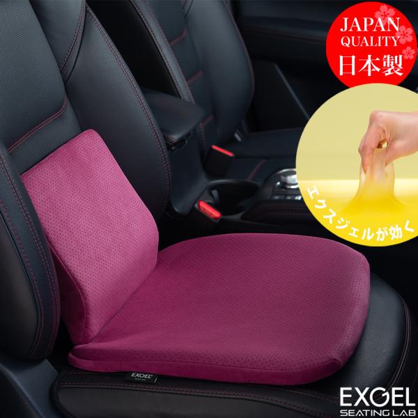 EXGEL（エクスジェル） ジェルクッション 腰痛 クッション 車 腰痛対策