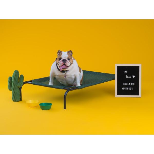 在庫処分大特価！】ファブリック ペットベッド（中型犬用） ペット