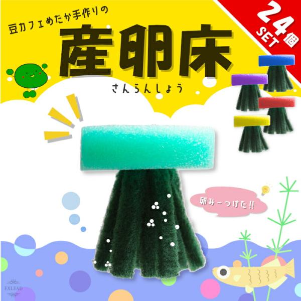 豆カフェめだか 激採れ めだかの産卵床 完成品 24個セット カラーはランダム 人工水草 特殊繊維  卵 採取 保護 めだか メダカ 産卵 淡水魚 水槽 ビオトープ