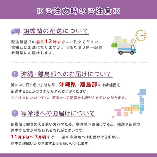 訳あり の 白 と 紙素材カード電報 のセット 電報 叙勲 開業 開業 当選 結婚式 Ag05s K 電報屋のエクスメール 生花 褒章 電報屋のエクス メール 店 祝電 胡蝶蘭 特選胡蝶蘭 開店祝い お祝い 結婚 ５本立 敬老の日 誕生日 生花