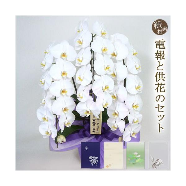 お供え 胡蝶蘭 特選胡蝶蘭 ３本立 白 と 紙素材カード電報 のセット 電報 弔電 葬儀 お供え花 フラワー 供花 お悔やみ 仏花 生花 Khabarbani Com