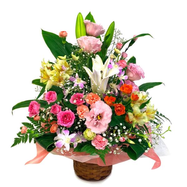 フラワーギフト 「華やかなユリのアレンジ」 (電報なし) お祝い 花 ギフト プレゼント 女性 結婚式 誕生日 敬老の日 2026 暑中見舞い 開業 開店 ユリ