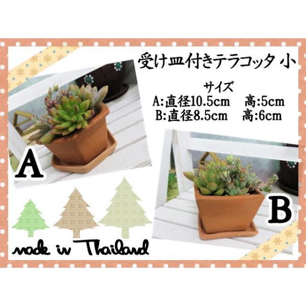植木鉢 鉢 プランター 受け皿付テラコッタ 小 ミニ 素焼き鉢 おしゃれ