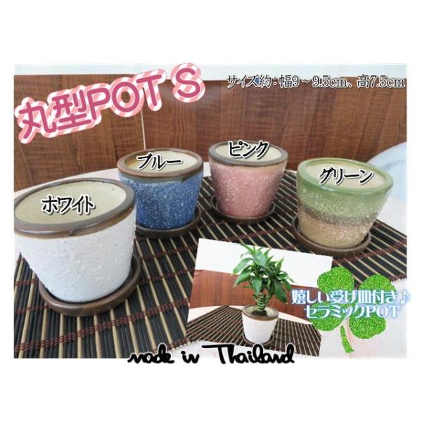 植木鉢 鉢 プランター 受け皿付丸型ポット S セラミック 陶器 おしゃれ Buyee Buyee Japanese Proxy Service Buy From Japan Bot Online