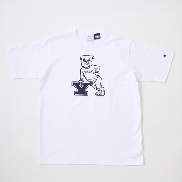 CHAMPION チャンピオン  ティーテンイレブン イェール大学プリント Tシャツ メンズ アメリカ製