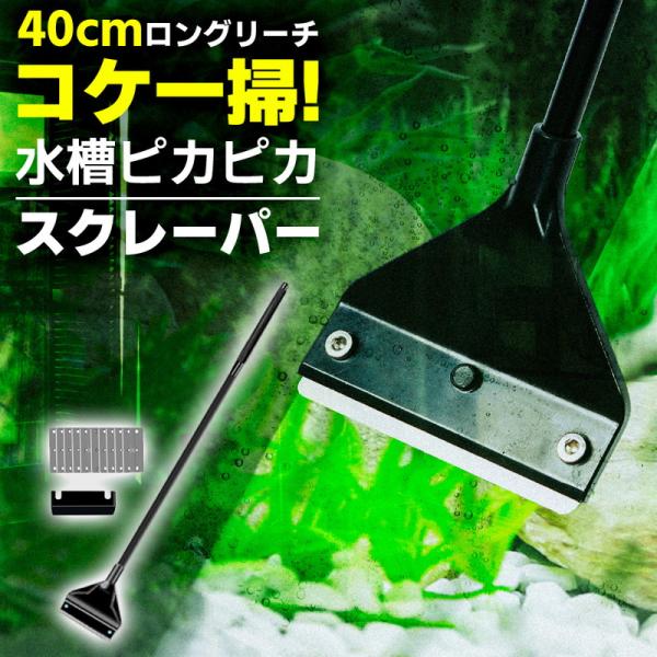 強力に「削って落とす」安心設計本製品は先端刃部が鋭すぎず、安全にガラス面のコケや藻を削る構造。ブラシでは届きにくい角や縁まで、滑らかにスルッと削れ、クリアな視界を即座に取り戻せます。水槽の透明感が蘇ることで、観賞魚・水草の美しさも引き立ち、...