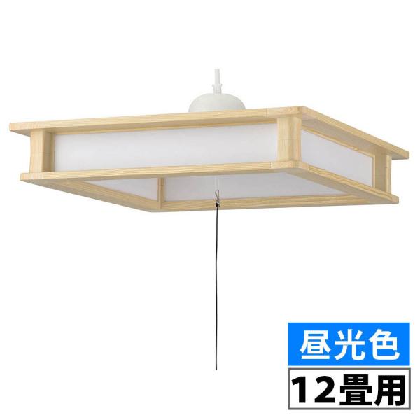 LEDay_gCg 12p FbLT-W50DBG-W1 06-3876 I[d@