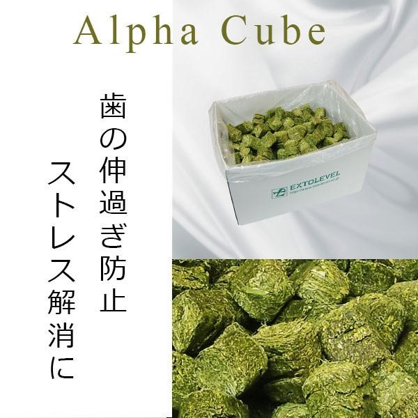 大容量5kg アルファルファ牧草キューブ加工 歯の健康を整える アルファルファキューブ加工 アルファルファ うさぎ 牧草 | 業務用 | 同梱不可