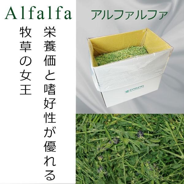 アルファルファ ウサギ えさ 牧草の女王 北米産シングルプレス アルファルファ牧草20kg (10kg x 2個)【業務用牧草】【同梱不可】令和7年産