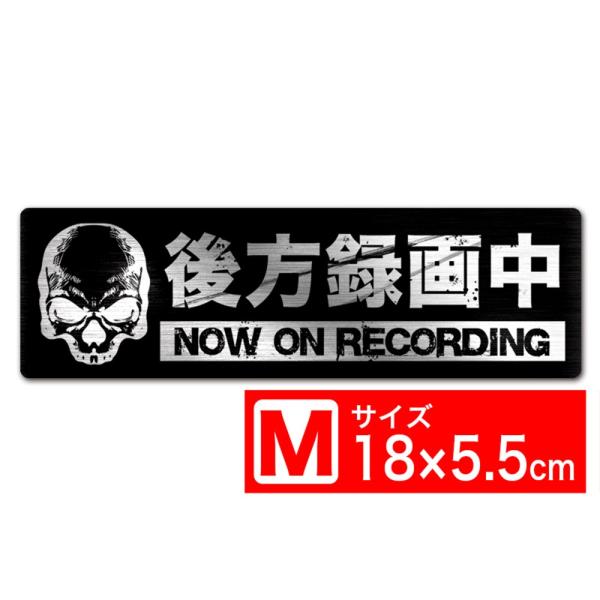 extore_exproud-driverec-k-skull-m