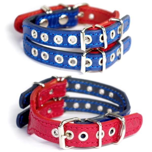 AEgbg 0622FC^O ~js p 3cm v (26cm)