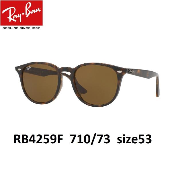 Ray-Ban レイバン 大きめラウンド 軽量サングラスRB4259F 710/73 53 メンズ レディース 丸メガネ
