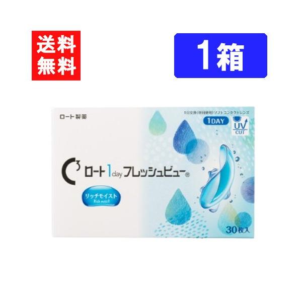 ロート ワンデーフレッシュビュー リッチモイスト 30枚入 ×1箱  RHOTO 1DAY フレッシュビュー