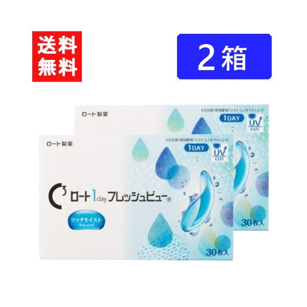 ロート ワンデーフレッシュビュー リッチモイスト 30枚入 ×2箱  RHOTO 1DAY フレッシュビュー