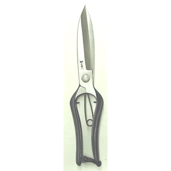 ԌG@Ў  n ؂ ɏ㊠@270mm