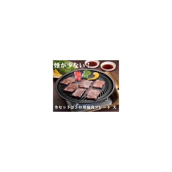 イワタニ 煙 少ない 焼肉プレート L 大 カセットコンロ用 家 お家 パーティー 洗いやすい フッ素コーティング 広い 焼き肉 プレート スモークレス 取手付き