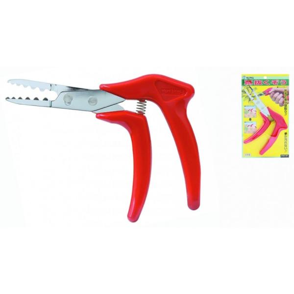 {  肪Ȃ E    y   ЎŊyX Mont Blanc u S