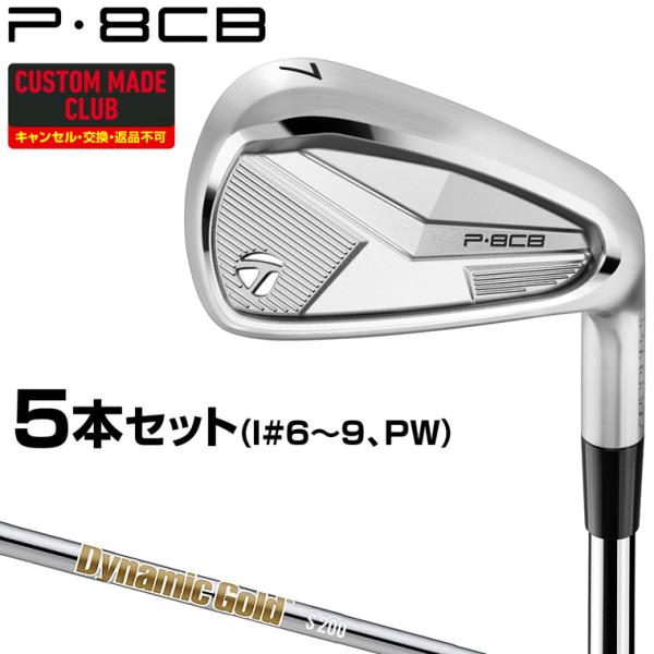 TaylorMade P8CB アイアンセット 6本 Dynamic gold TaylorMade（テーラーメイド） P8CBアイアン ダイナミックゴールドHT