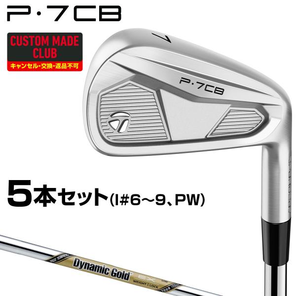 TaylorMade（テーラーメイド） P7CBアイアン ダイナミックゴールドEX