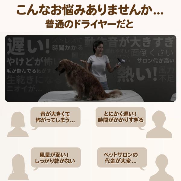 ezlife_pet-blow_1_d_20241004140641