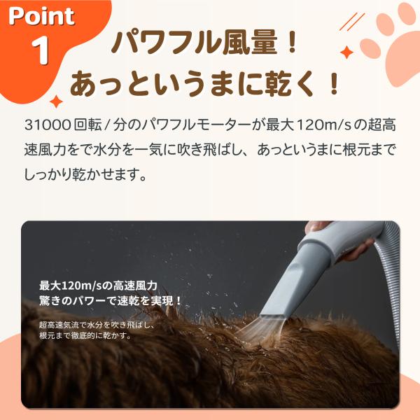 ezlife_pet-blow_3_d_20241004140700