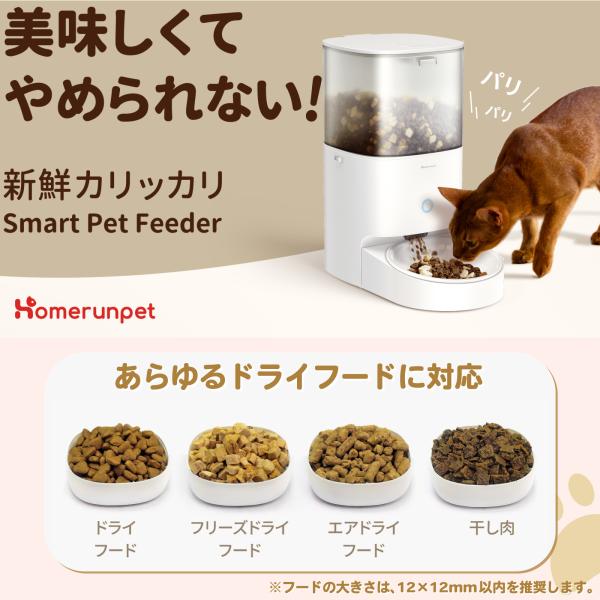 ezlife_smartpetfeeder_2_d_20231019102932