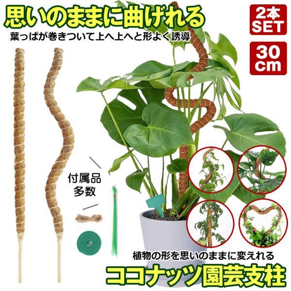 曲げられる ココスティック 30cm 2本 セット ココナッツ支柱 モンステラ支柱 観葉植物 モンステラ 支柱 園芸支柱 植物 ガーデニング用 モスポール 園芸用品