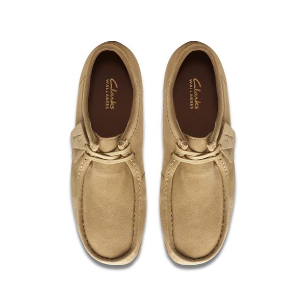 ezone_26177834_5_d_20250214181902