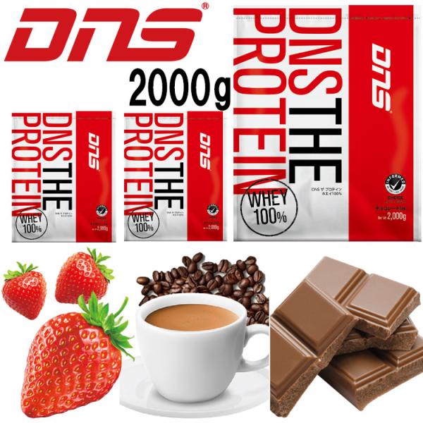 DNS プロテインホエイ2000g DNS プロテインホエイ100 レモン風味 2000g (約57食分) ホエイ