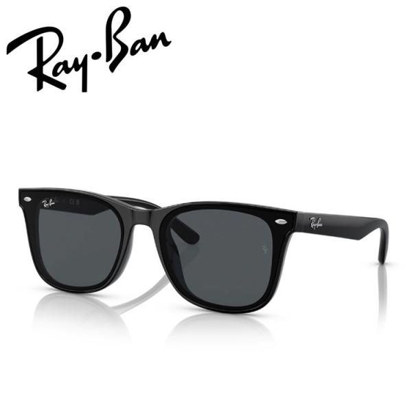 Ray-Ban（レイバン） サングラス RB4391D Ray-Ban RB4391D 601/87 65