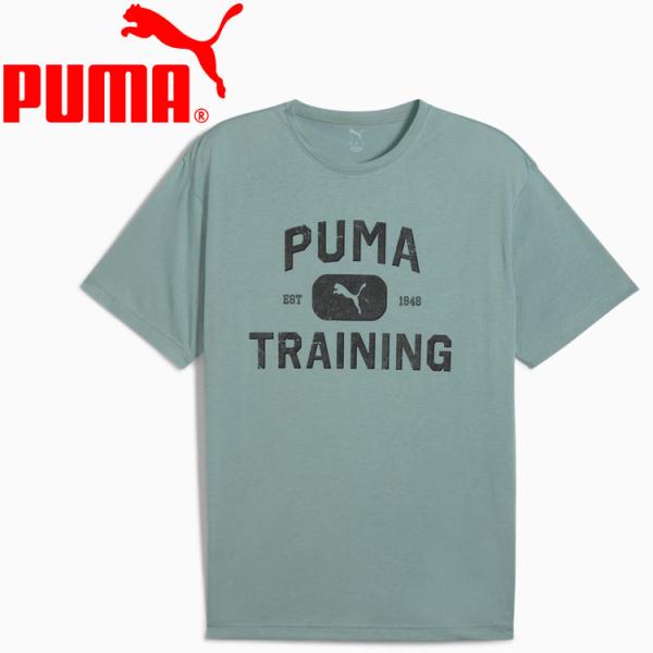 PUMA（プーマ） GRAPHICS LOGO リラックス Tシャツ 527359-30 メンズ