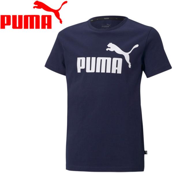 v[} ESS S TVc 588982-06 WjA [֑