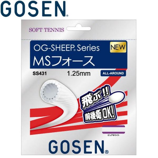 S[Z ejX ejX \tgejXXgOX Kbg MStH[X SS431-dbk [֑