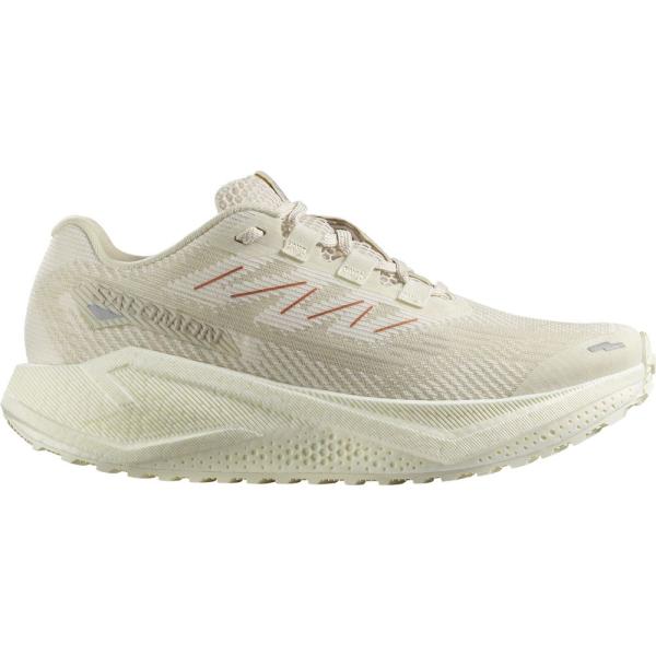 サロモン AERO BLAZE 3 GRVL W L47915100 レディース シューズ