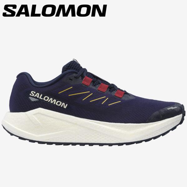 サロモン AERO BLAZE 3 GRVL L47915400 メンズ シューズ